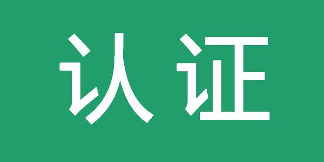 什么是SEO蜘蛛池